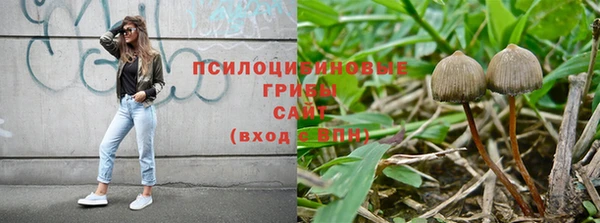 ECSTASY Армянск