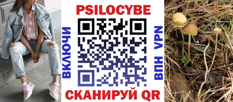 Псилоцибиновые грибы мицелий Устюжна